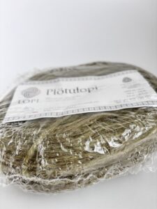 Plotulopi